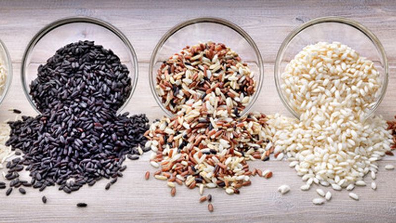 Rice and Blood Sugar