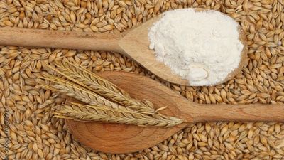 Is Barley Good For Diabetes? - Sugar.Fit's photo